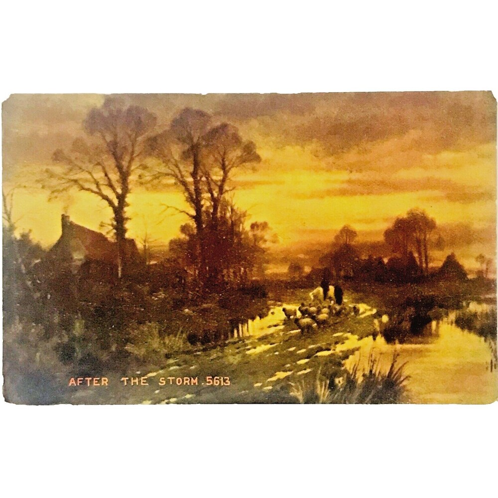 Sheep Postcard After the Storm Divided Cottage Sunset Shepherd Horse Farm Unpost